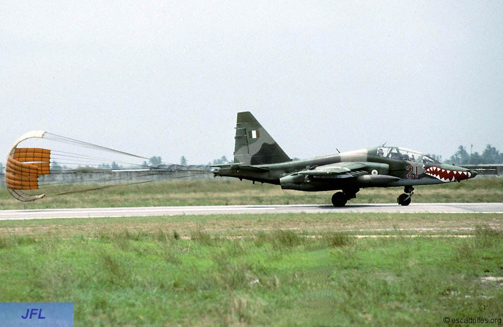 Su25_Ivoire_JFL7615.jpg