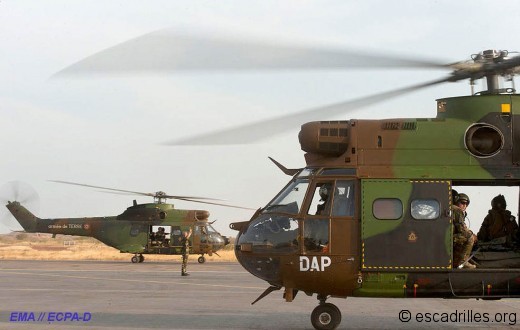 Puma DAP Serval