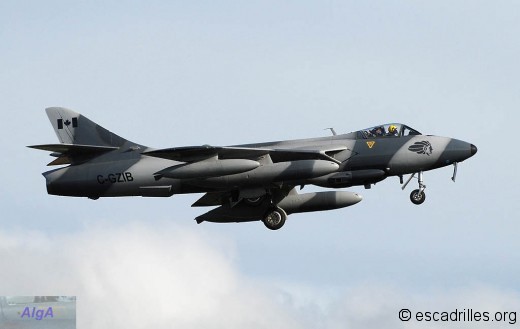 Hunter 2008 