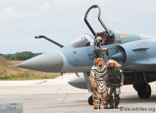 Tigre et blonde