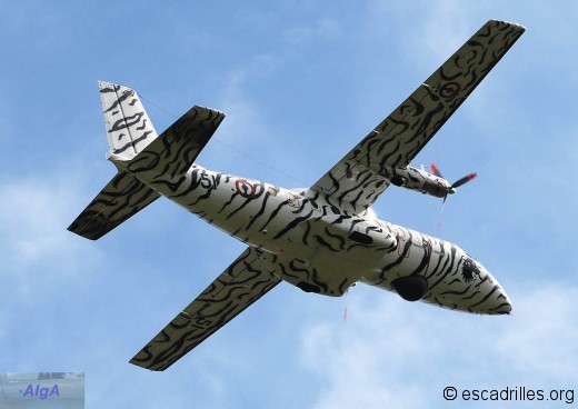 Nord262 2008 51 