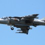 Harrier 2010 26