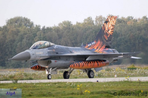 F16_2010_192Tiger