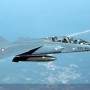 F-1B du CEAM