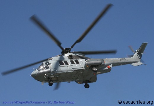 Cougar 32F Michael-Rapp