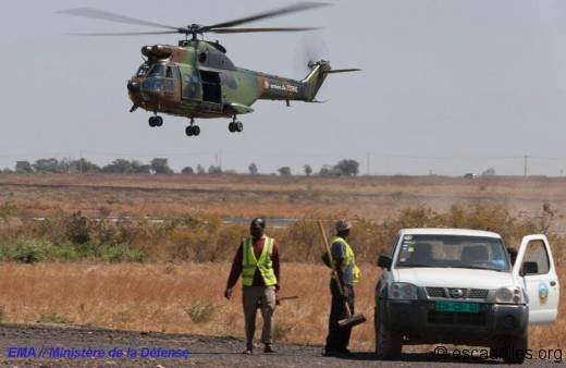 Puma sur l'aéroport de Bamako