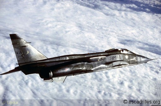 Jaguar du 3/7 en lisse à moyenne altitude (1990)