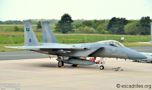 F15_RSAF-203_pc