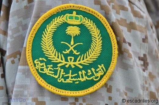 patch Royal Saudi Air Force
