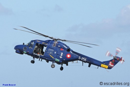 Lynx_RDN_S256_fb_