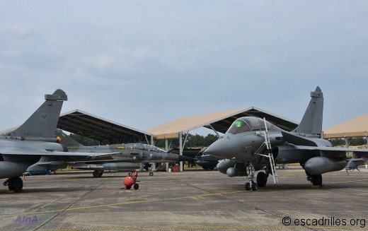 Serpentex_Rafale_2000N