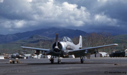 T28_3-9_mb-