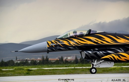 F16_192-Tiger_ah