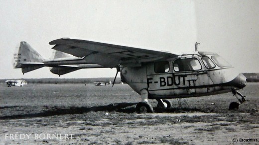 Courlis_Basse-Yutz_fb