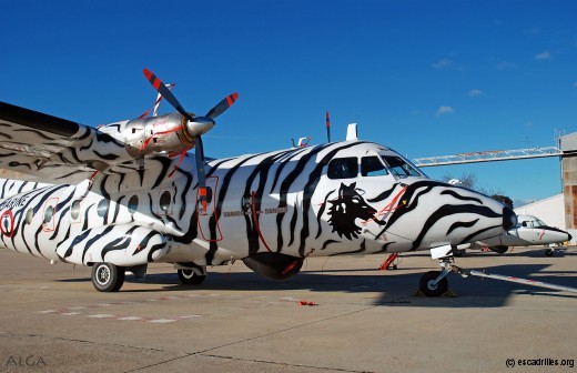 Ce loup tigré fit les délices des spectateurs à compter du Tiger Meet de 2008