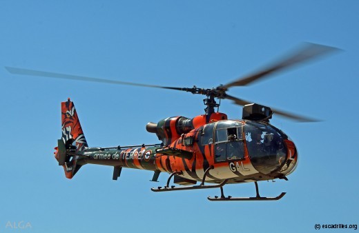 Gazelle transformée en tigre, par les aviateurs d'Etain